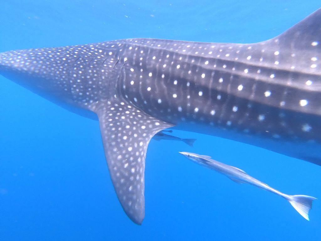 4a1ac1cb-c22a-45d6-8ed0-1fca032e4977