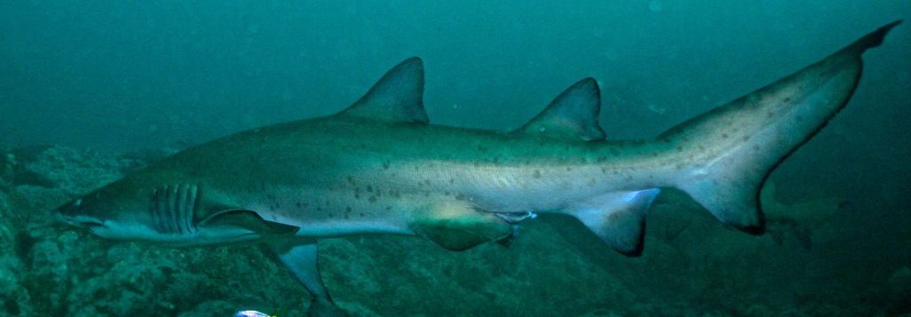 e142d6ab-b093-4619-86b7-81a7d0ae711d