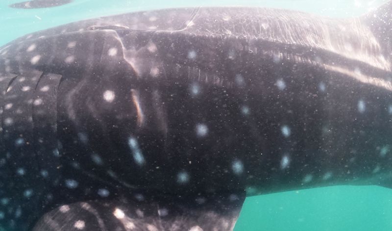 e618168b-00ca-48c9-b82d-7d74e7295d19