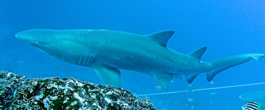 a114fb3a-283a-4974-9992-2ee165160787