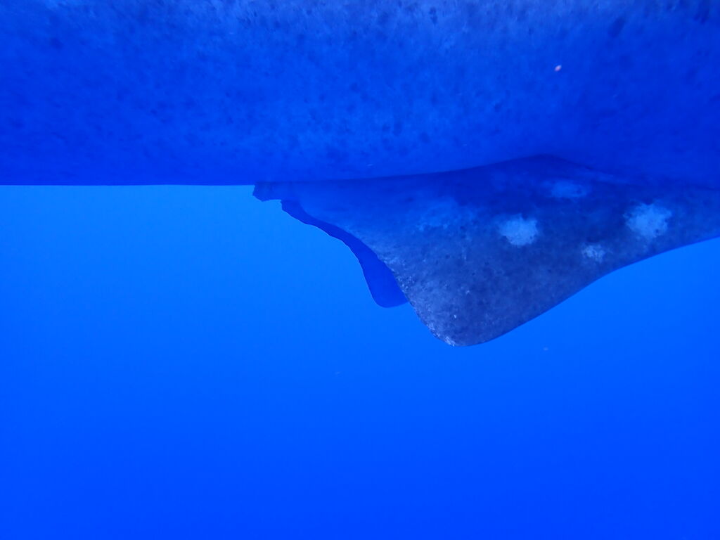 6beaa9ac-3482-4b80-81b4-67841c3b1f1d