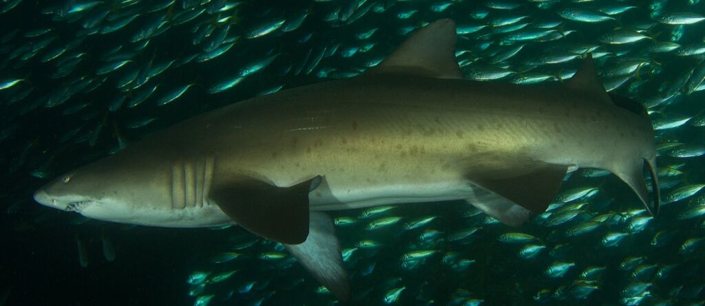 95f6b9e7-eaa1-4be4-a5ee-162bc062a873