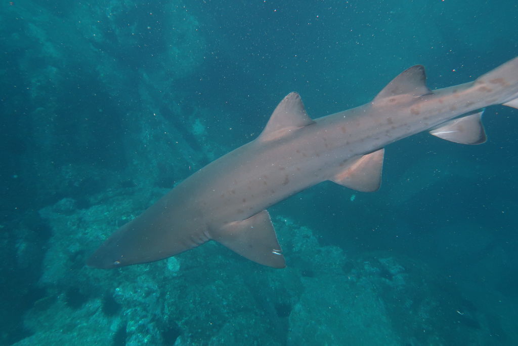 ab877c31-8ad9-490c-8141-1e3ddfc94c6e