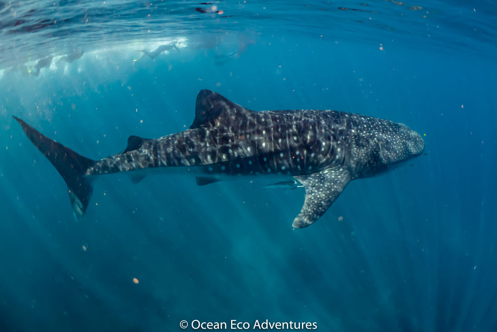 3c47ea5e-43f8-4644-8045-01082a62f57e