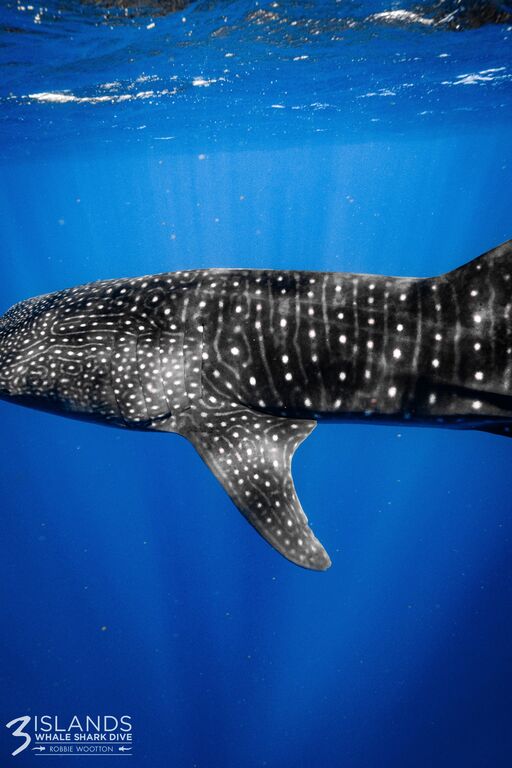 e413f320-4ef5-4a30-836f-c0f1ffda23cb