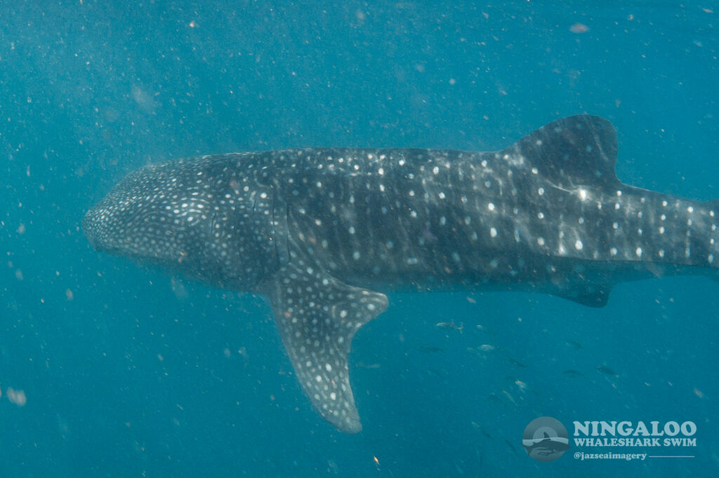 3d7d4f58-71a0-462c-8ba6-f9b61cb553fb