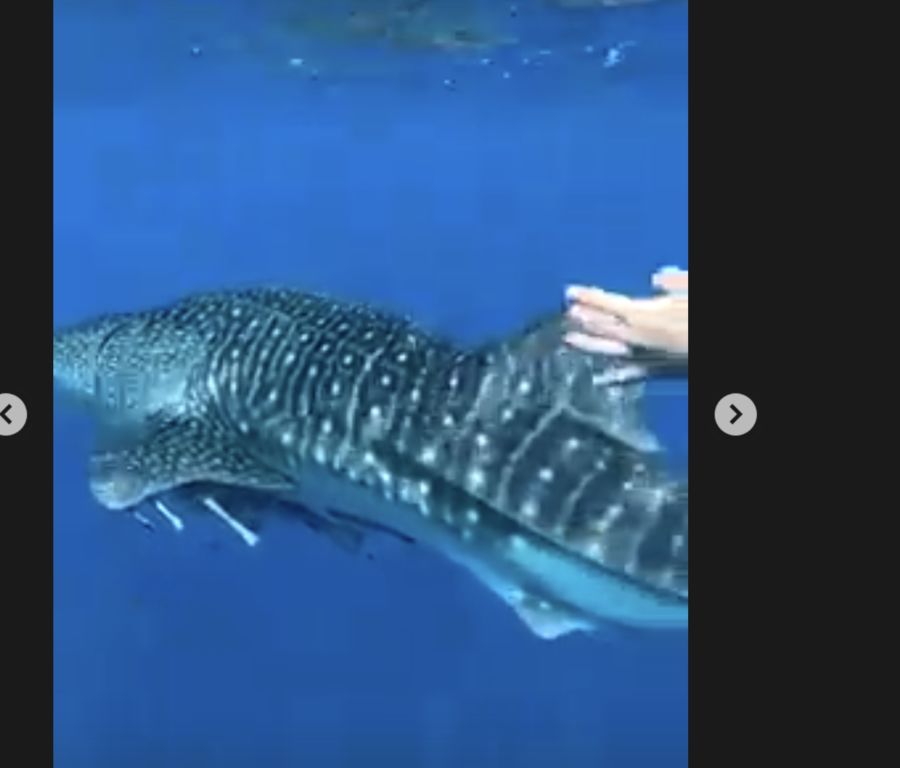 1d8acaa7-bddb-4f2c-ba68-3564b812222d