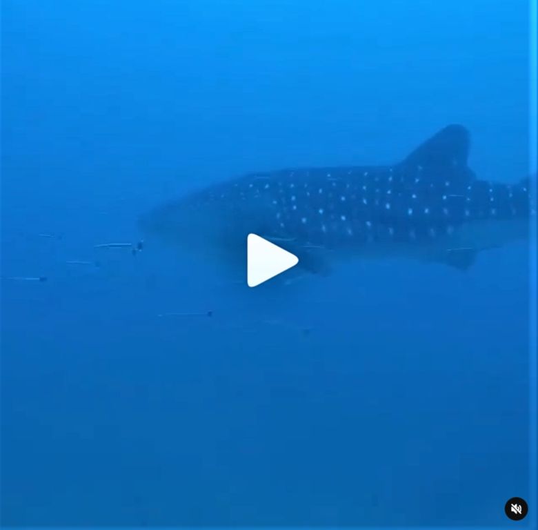 3256a614-9ebe-42fe-be0c-8e8df9e9d49d