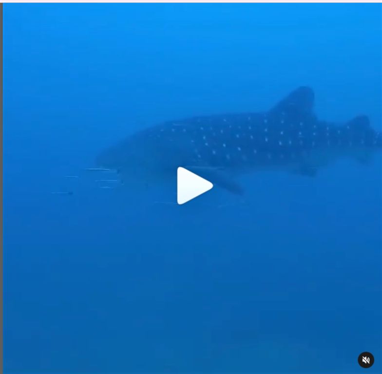 3256a614-9ebe-42fe-be0c-8e8df9e9d49d