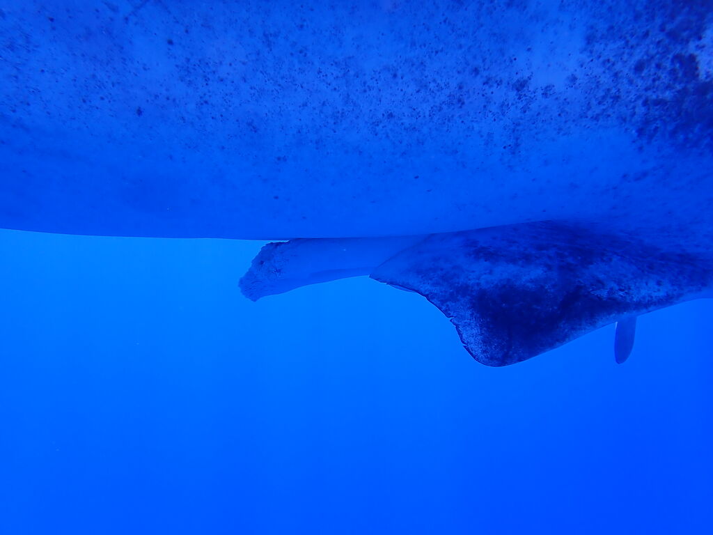 d2ccab82-43e6-4540-befd-d889cafaee56