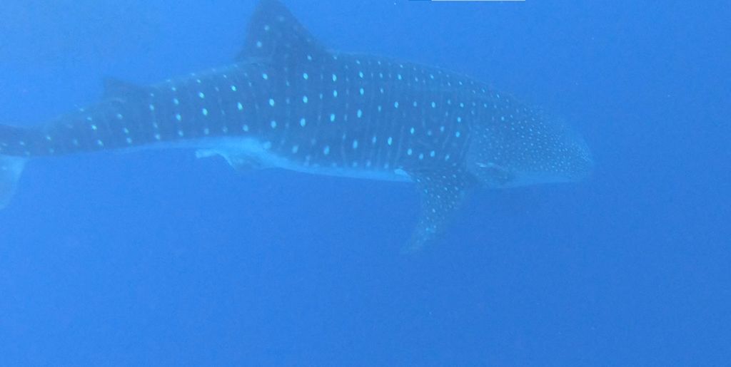 f6bc7f5f-128c-40e1-8ed0-6ed9e3b69874