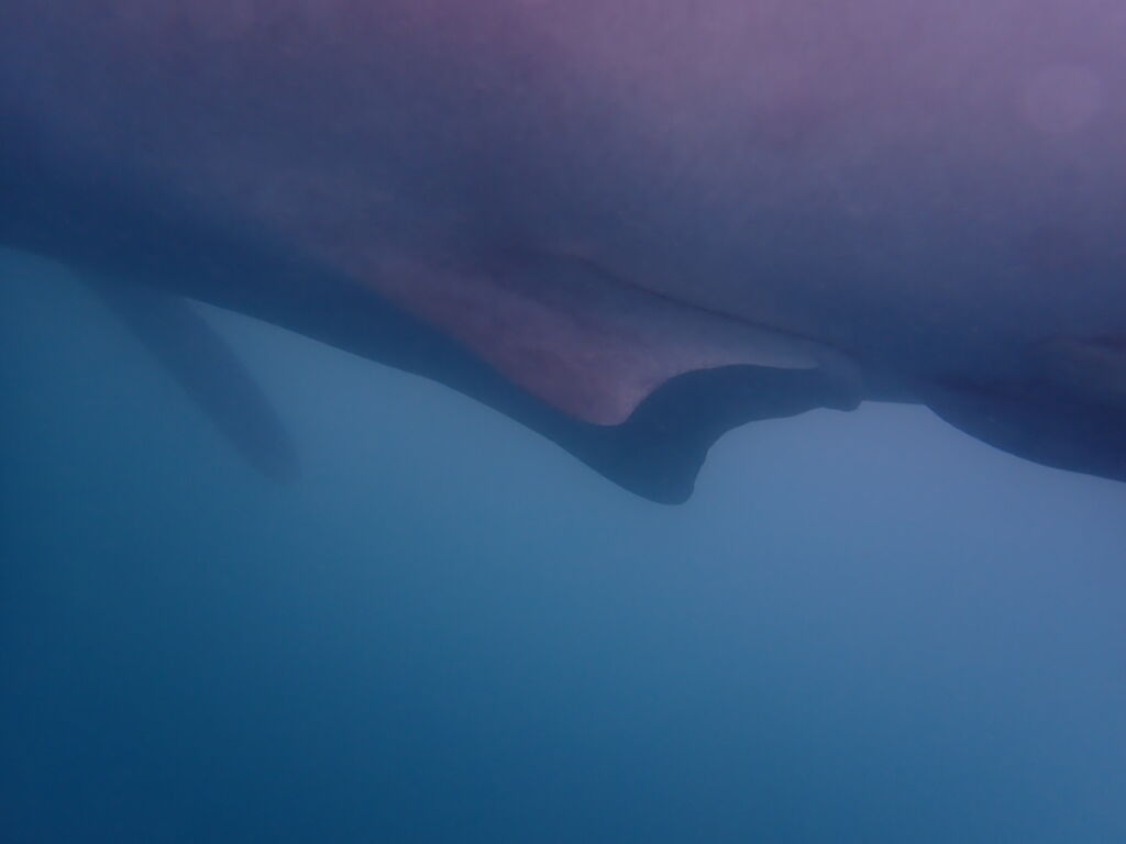 0bfe3ed4-24e6-4561-b04f-4260f9228215