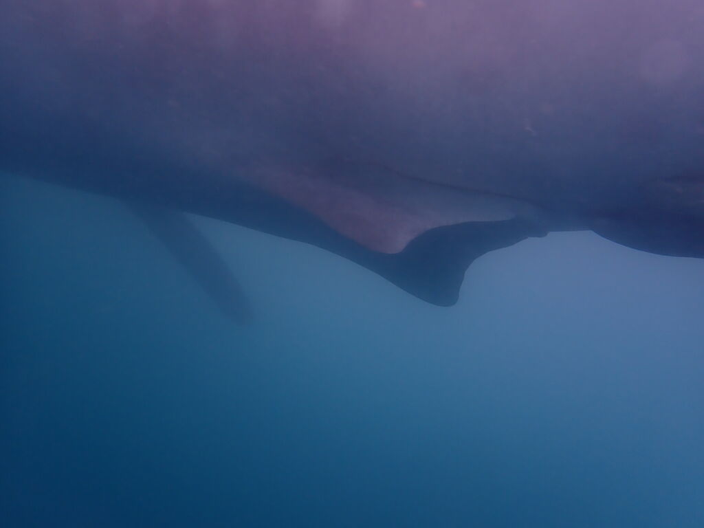 0bfe3ed4-24e6-4561-b04f-4260f9228215