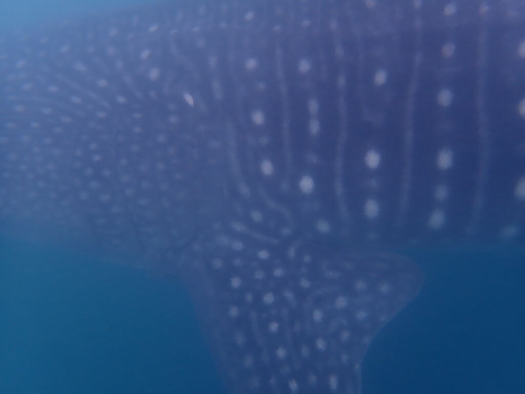 0bfe3ed4-24e6-4561-b04f-4260f9228215