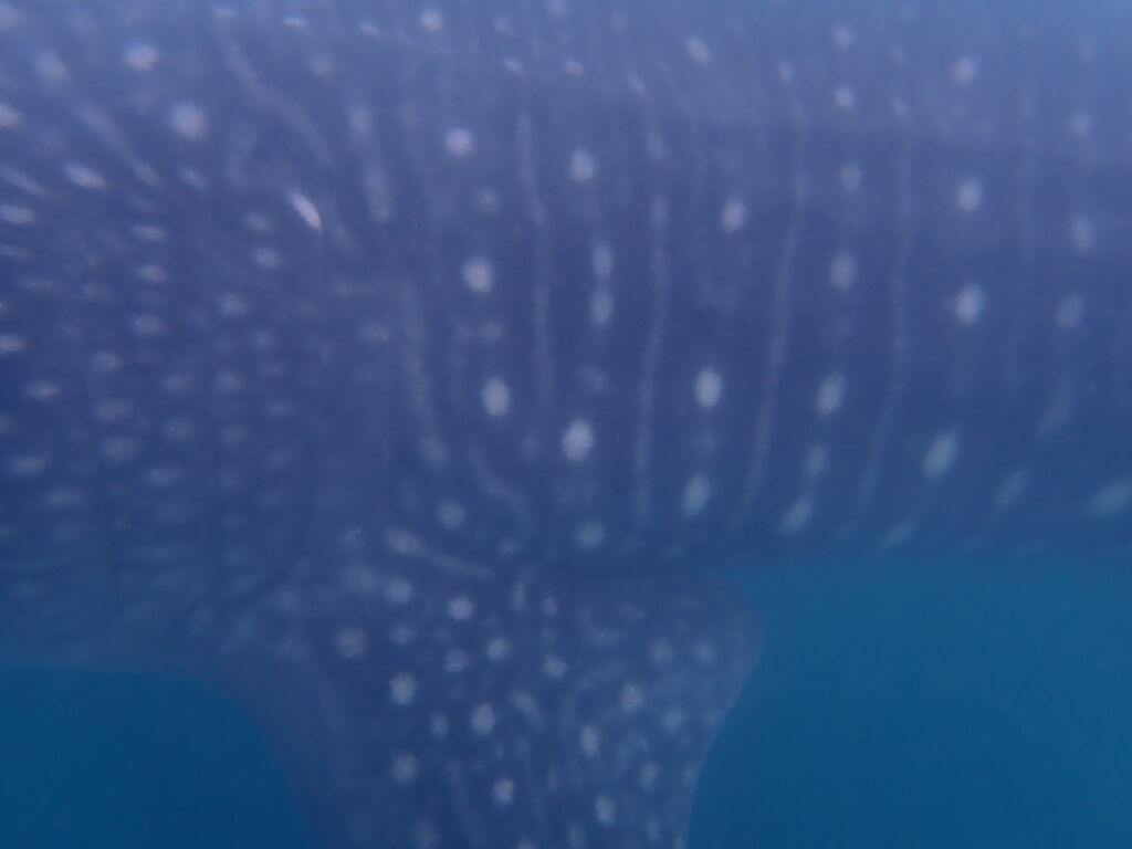 0bfe3ed4-24e6-4561-b04f-4260f9228215