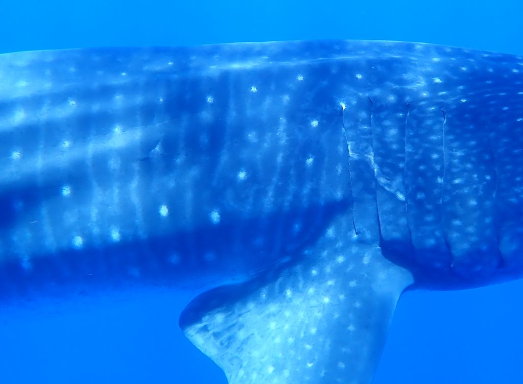 ca0773c4-7d46-4bc4-a1fa-2d085d366153