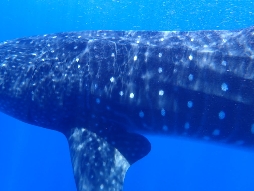 ca0455ed-bc6d-4e5a-ac88-7e7e7fb66cb7