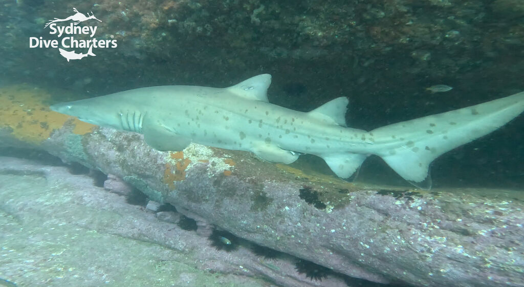 88347eed-bb4f-4517-9a0b-ad9a88e69581