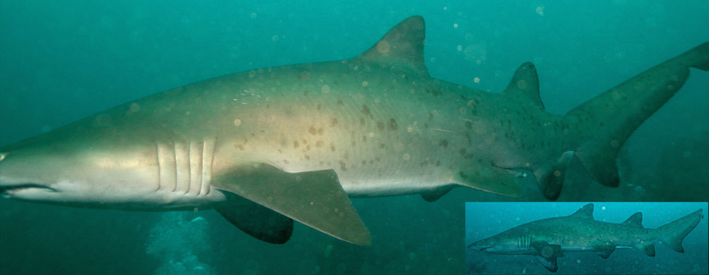 047ba166-5944-48e4-9e92-b77d14ef17e8