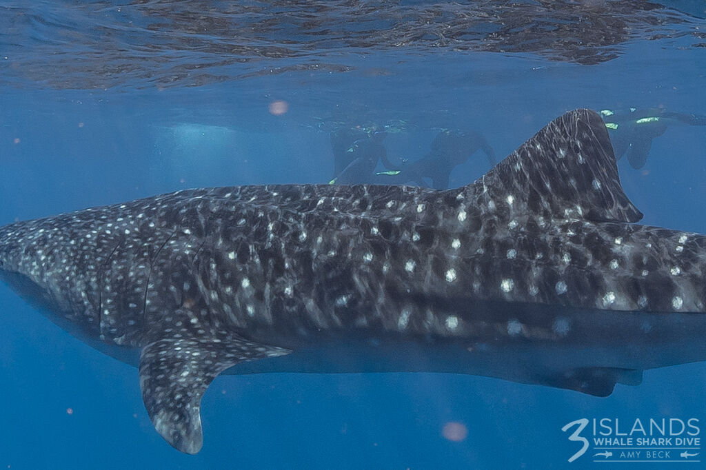 3cb21992-6410-4dd8-9274-bbac0df16a01