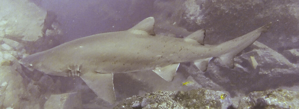 9d3ece1b-b79b-407a-86a8-62e277a10a24