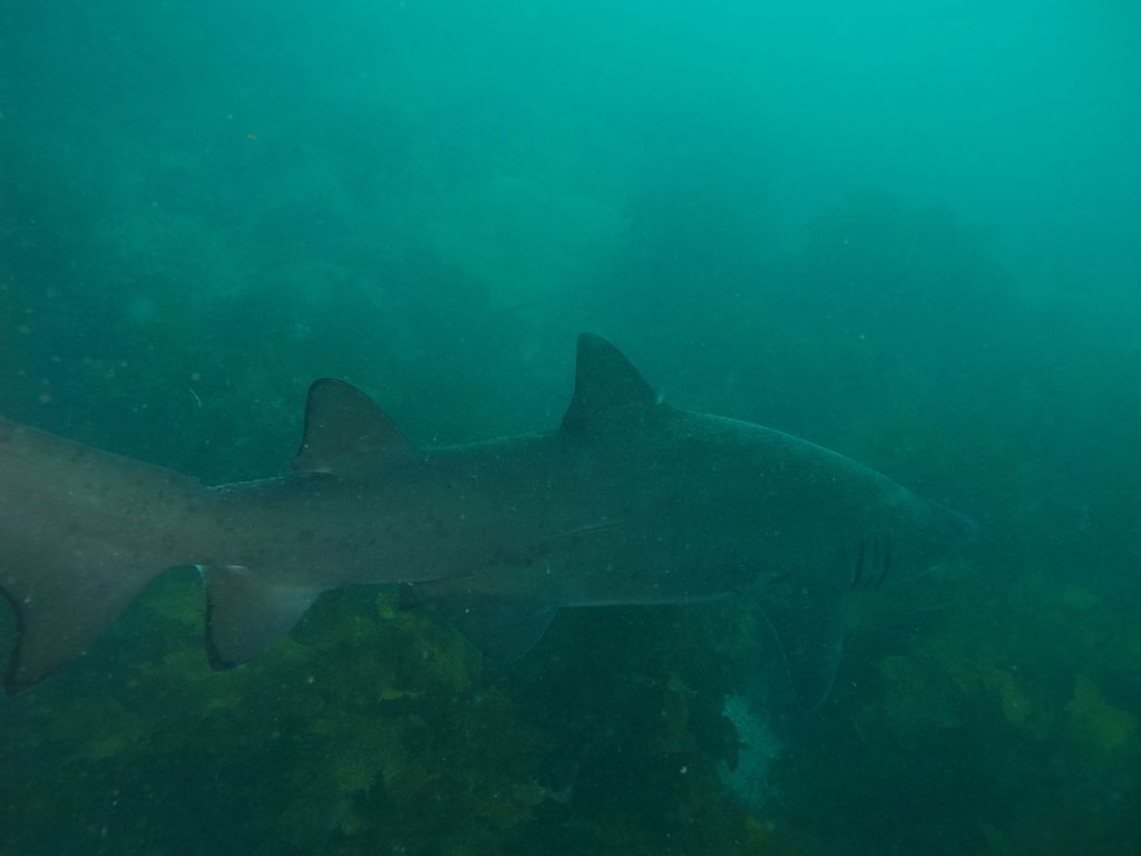 f7fa275b-f098-442b-a6a3-515865f2f4f1