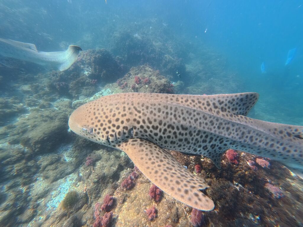 b68e8e5a-b368-40a0-939f-8f079c315aa0