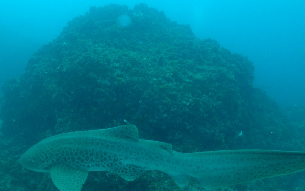 cdabd84c-d01d-44fc-af0f-d6bce63cb4ee