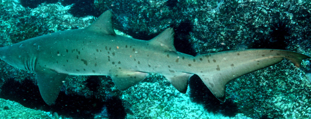 ee7ff81b-3b99-4ede-94e2-afa427ae1d81