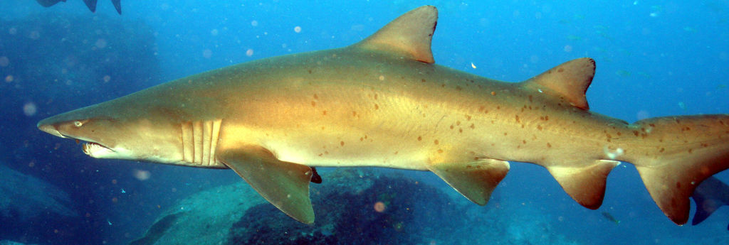 1f57c865-8369-4257-8ab1-611e9ec42821