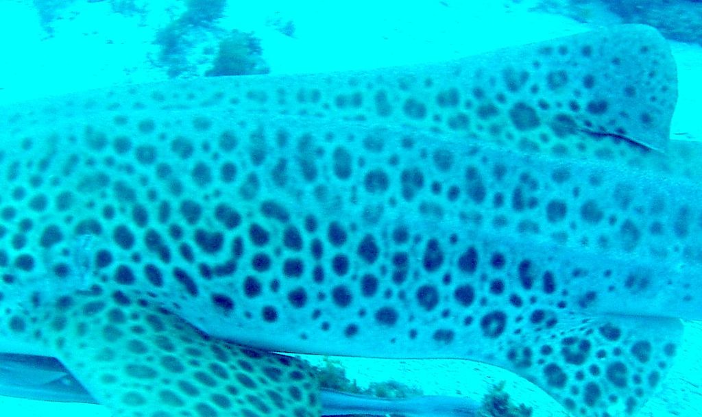 140197be-5553-41e1-a8fe-4f7b7472bb2c