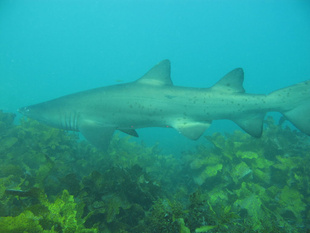 d19fbfc3-ba4e-45f3-b0a7-52411d57cfc6