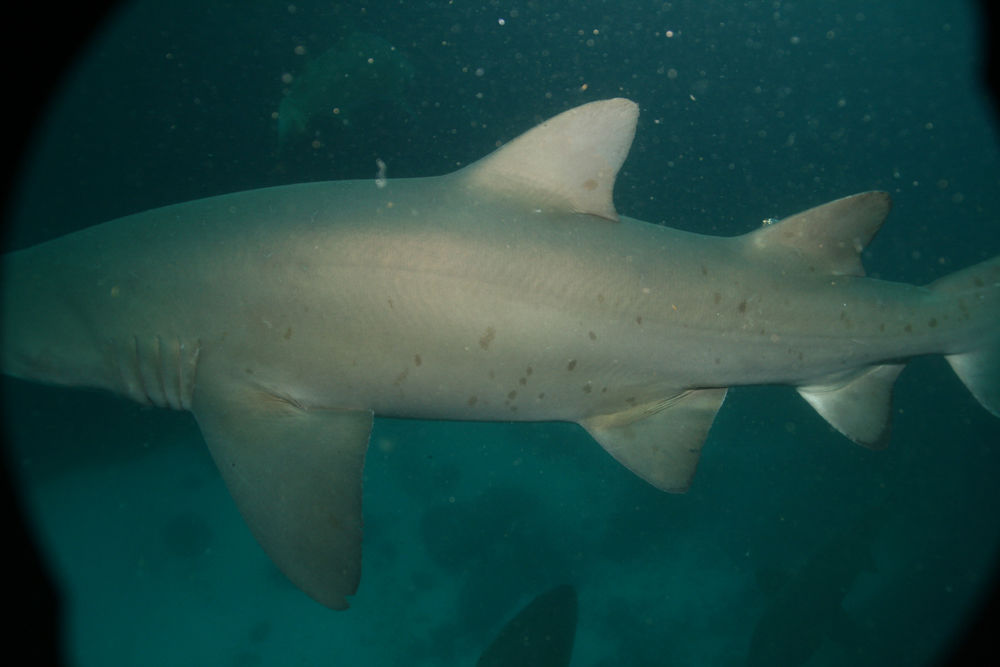 3fca4c9c-6223-4c21-8dce-86ae839329a8