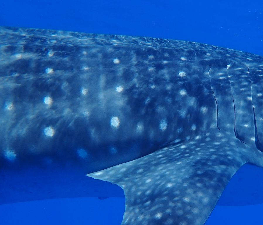 a9e3ffc6-4524-411c-b9c6-d9d0cca8d93e