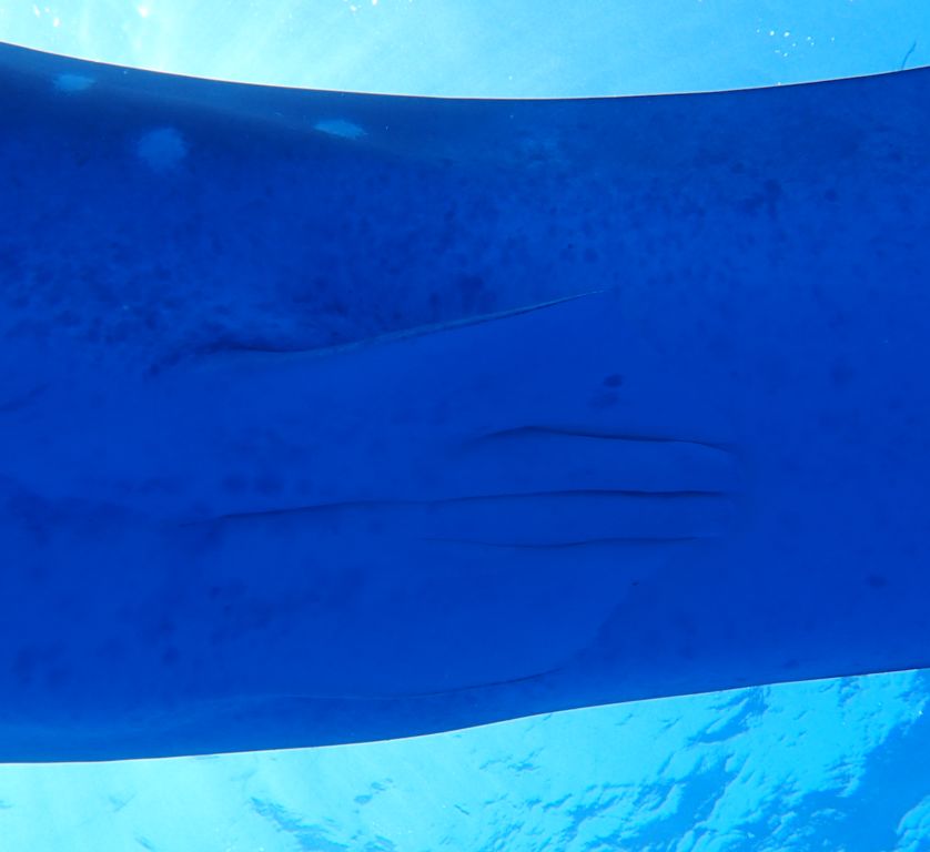 a9e3ffc6-4524-411c-b9c6-d9d0cca8d93e