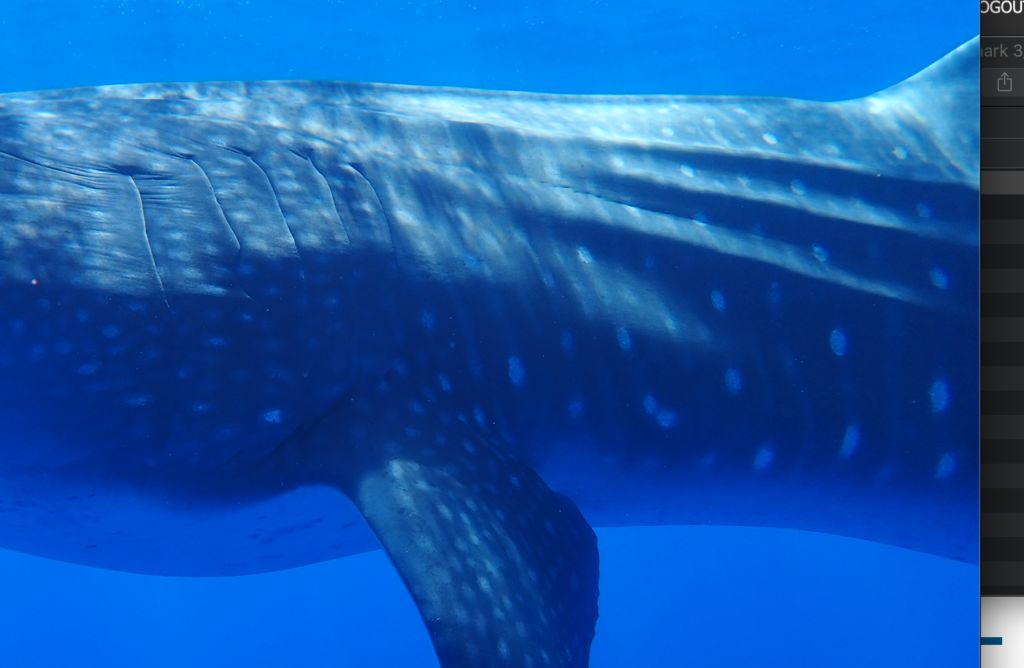 a9e3ffc6-4524-411c-b9c6-d9d0cca8d93e