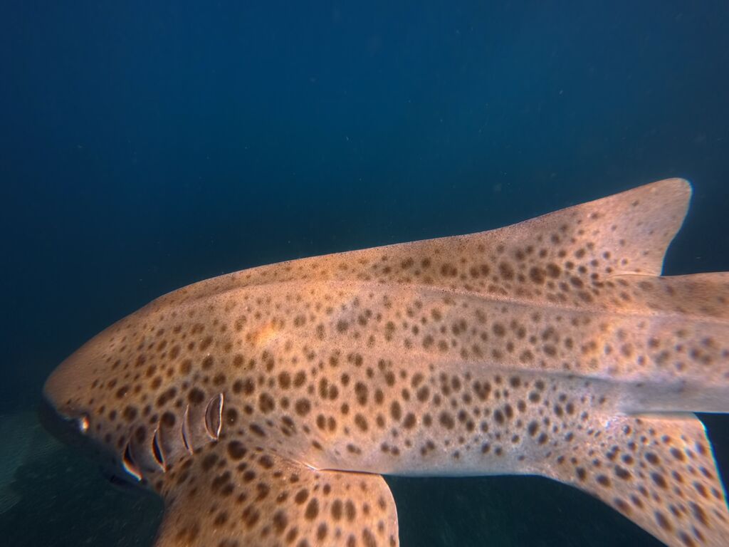 3581bedd-222a-4a3e-ae61-00c6344b8a29