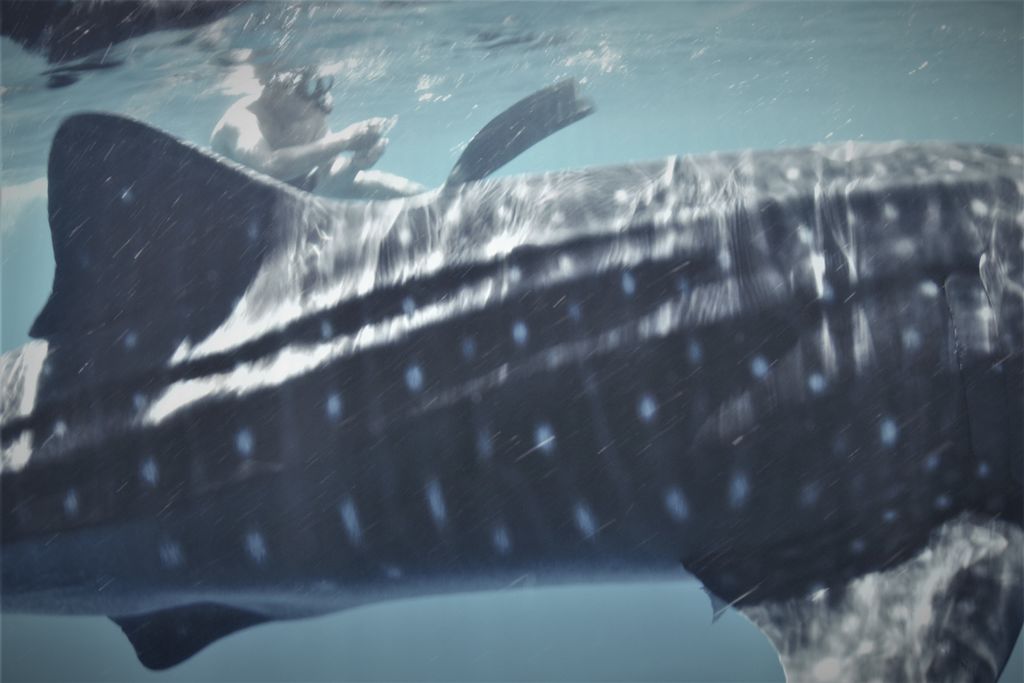 93536fc3-402e-400c-be6a-09da6043040f