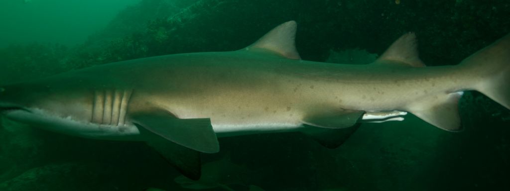 8e2281ac-6ae7-471f-8ffe-b5c16f6376bb