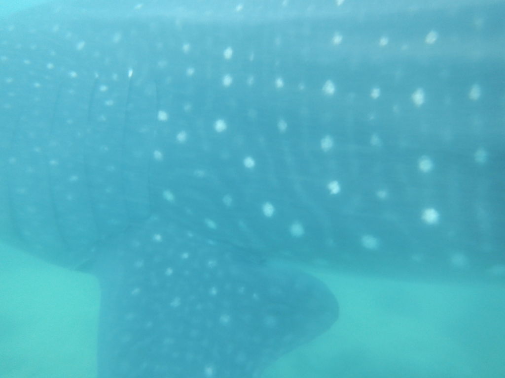 c6204b57-bf52-4465-b3a4-f0bd7ed349d2