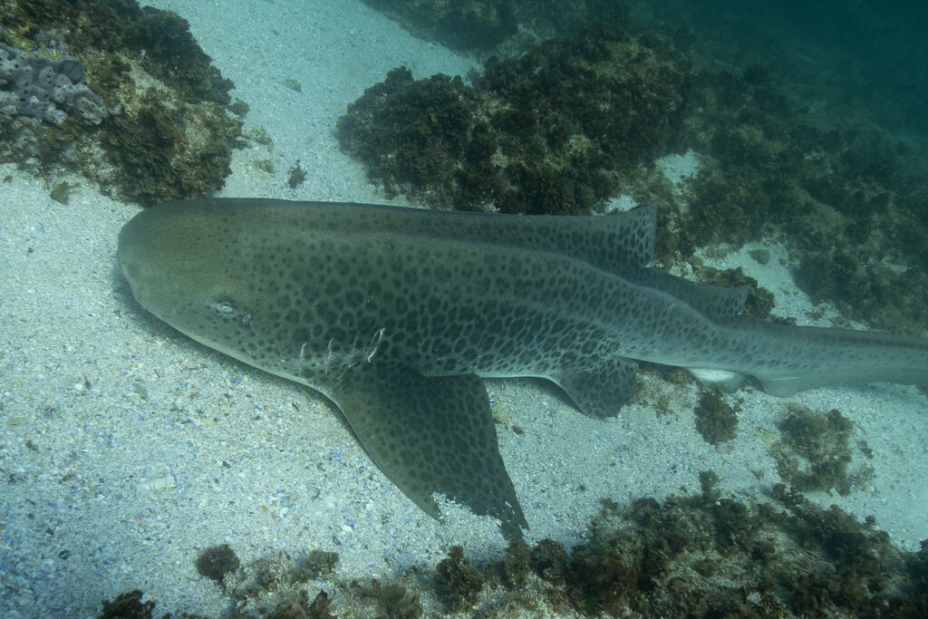 7b71f9dd-4711-4f19-91dc-4370a5770553