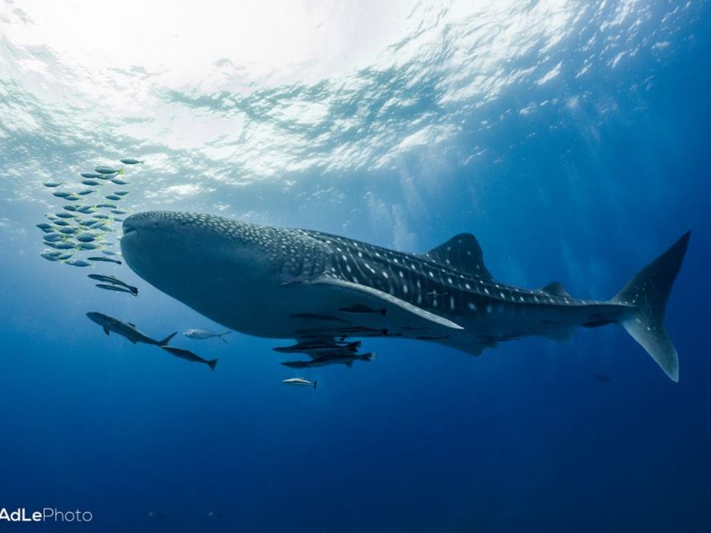 eac95212-93ef-46b2-aa6f-5adebe94b62f