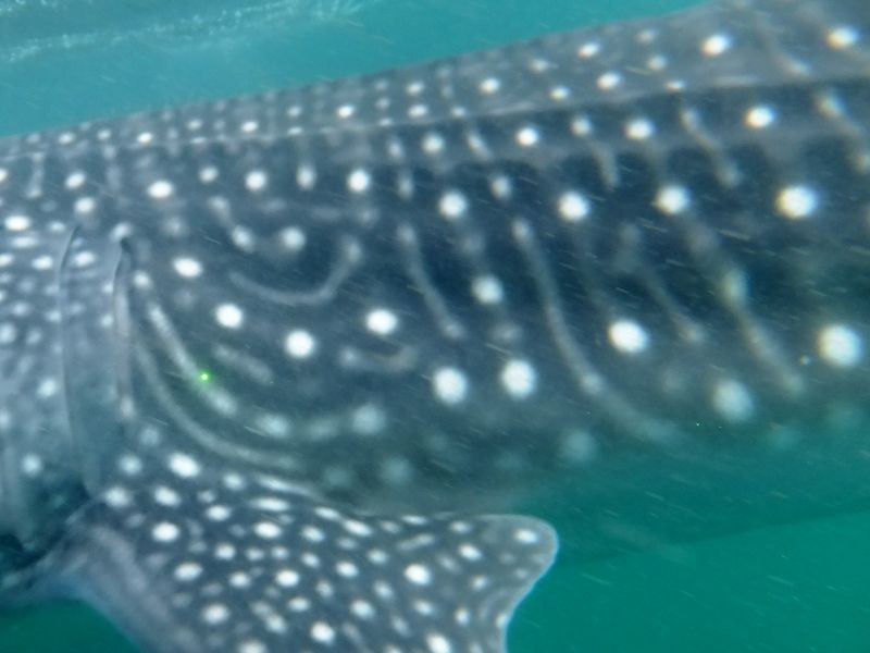 dccc5ac3-7da5-4cc5-a53a-f8f0f1345831