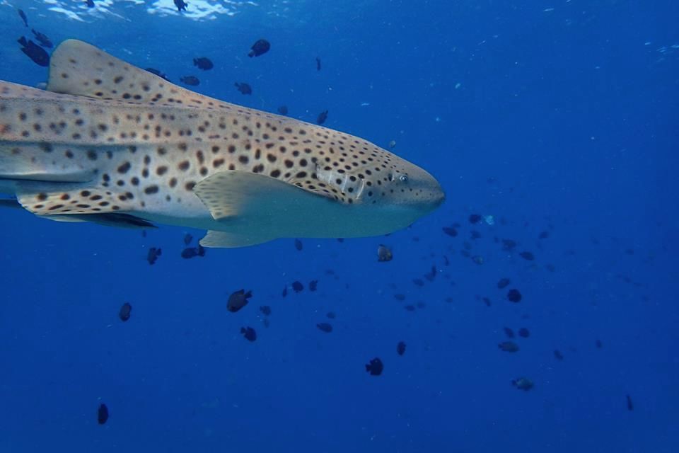 a777b422-1623-4e49-aa73-2398502323d7