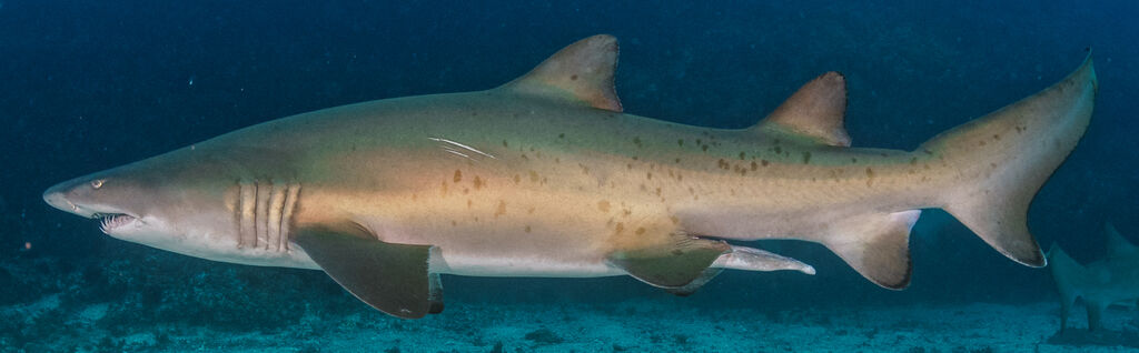 c34713d9-7472-4a23-95c1-0bd404c21f96