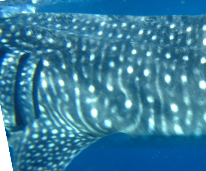 c0480d1d-9c41-4851-991d-fd113d351343