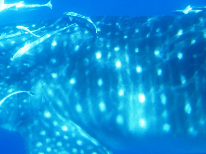 db19ebd3-1398-45d3-b098-37d161d643dd