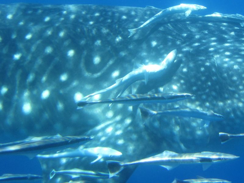 db19ebd3-1398-45d3-b098-37d161d643dd