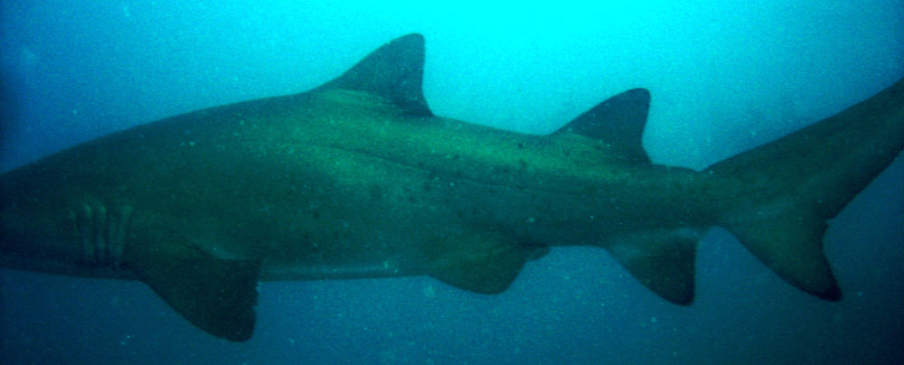 be8afa28-24eb-40cc-acaf-773d20aa306f