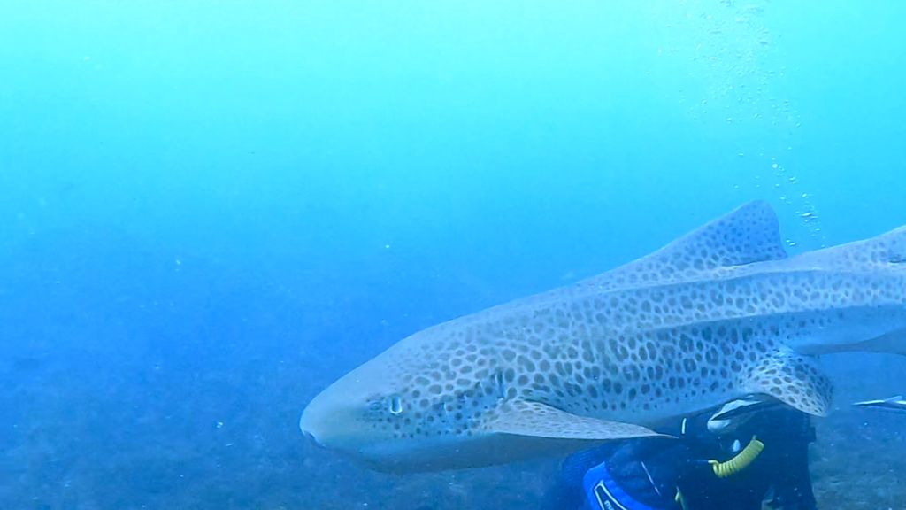 f94ecb63-4300-472c-ad18-e2ab4621dc5e